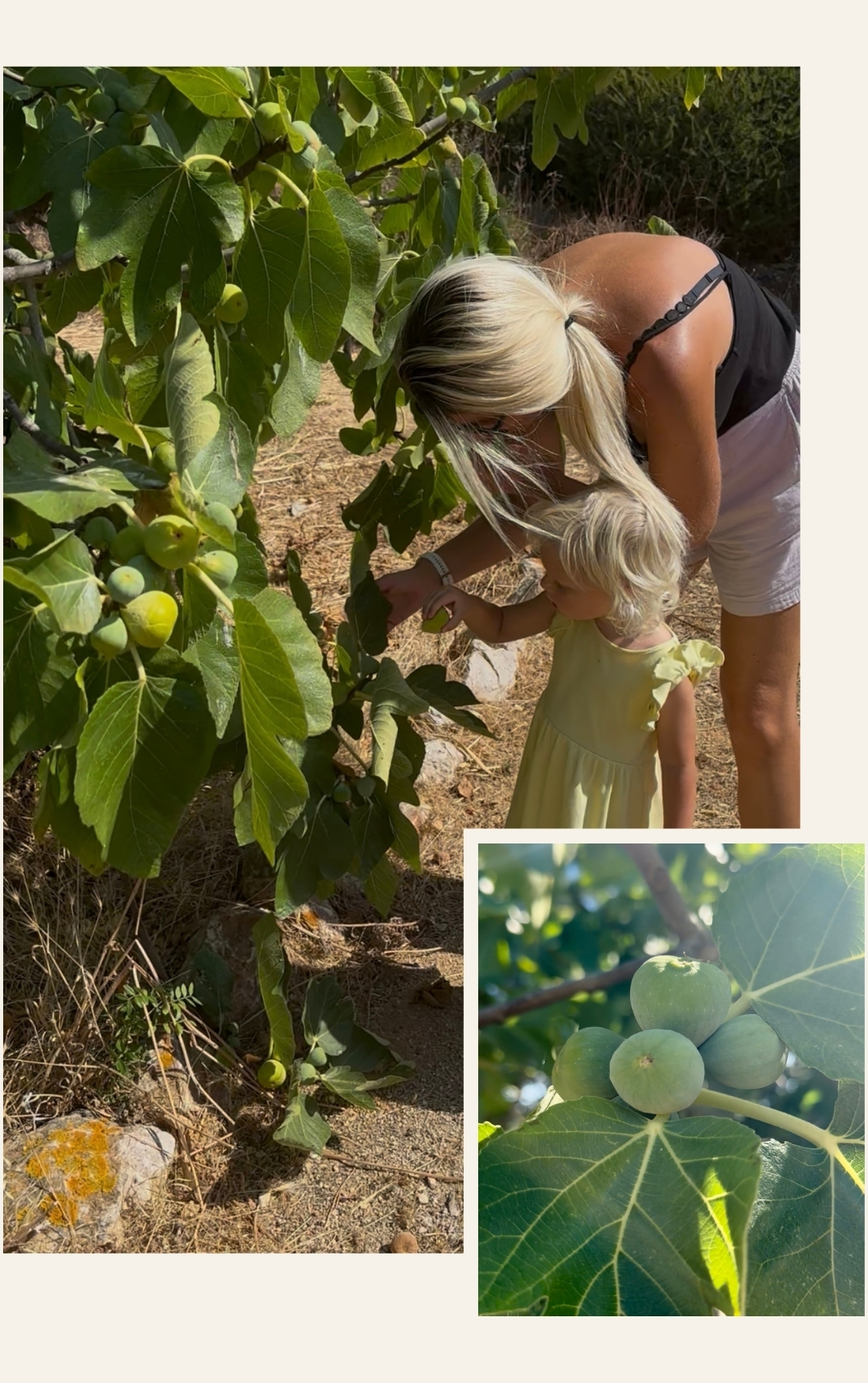 Debby die vijgen plukt met Fay-linn