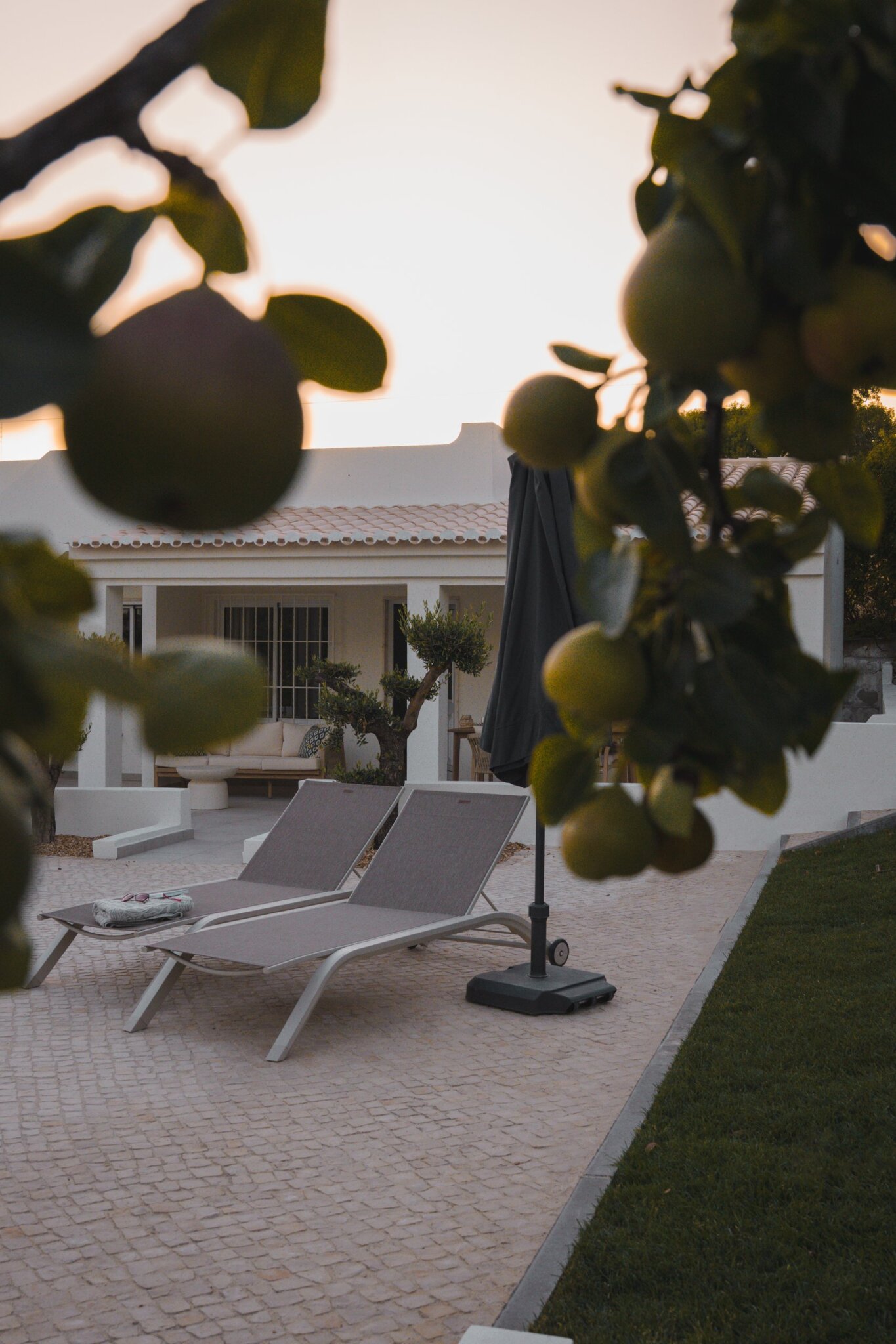The Grounds - Casa Moondi